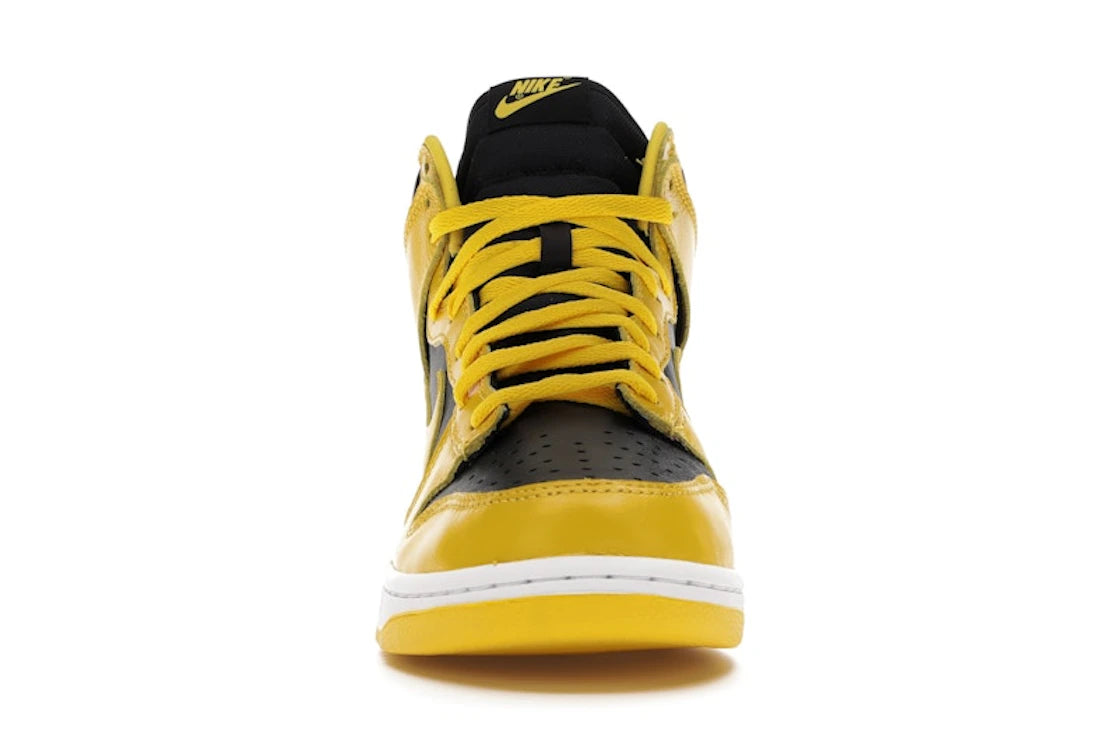 Nike Dunk High Iowa (2020)